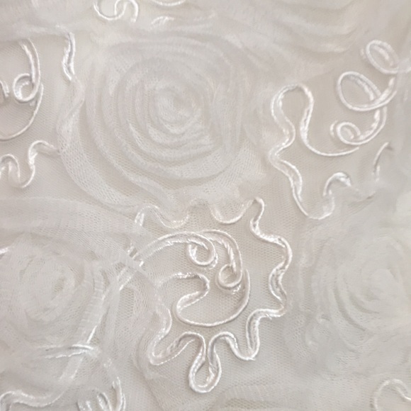 Adrianna Papell Wedding Dress - Picture 3 of 9